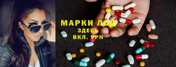 спиды Нефтекумск