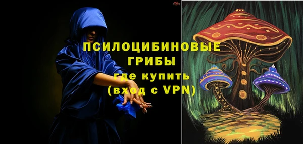 прущая мука Нея
