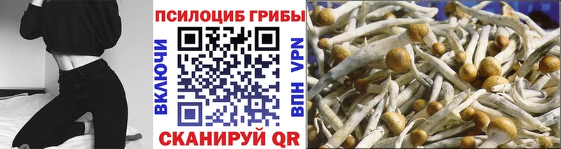 Псилоцибиновые грибы Magic Shrooms Троицк