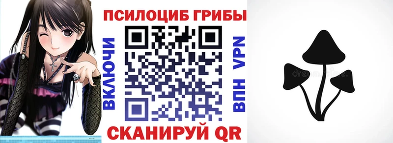 Псилоцибиновые грибы GOLDEN TEACHER  как найти закладки  Троицк 